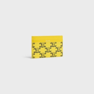 Etui na karty z Triomphe Canvas i skóry cielęcej